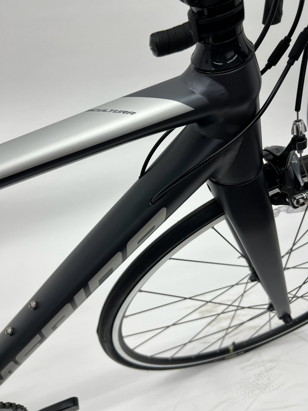 MERIDA SCULTURA RIM フレームとロゴ