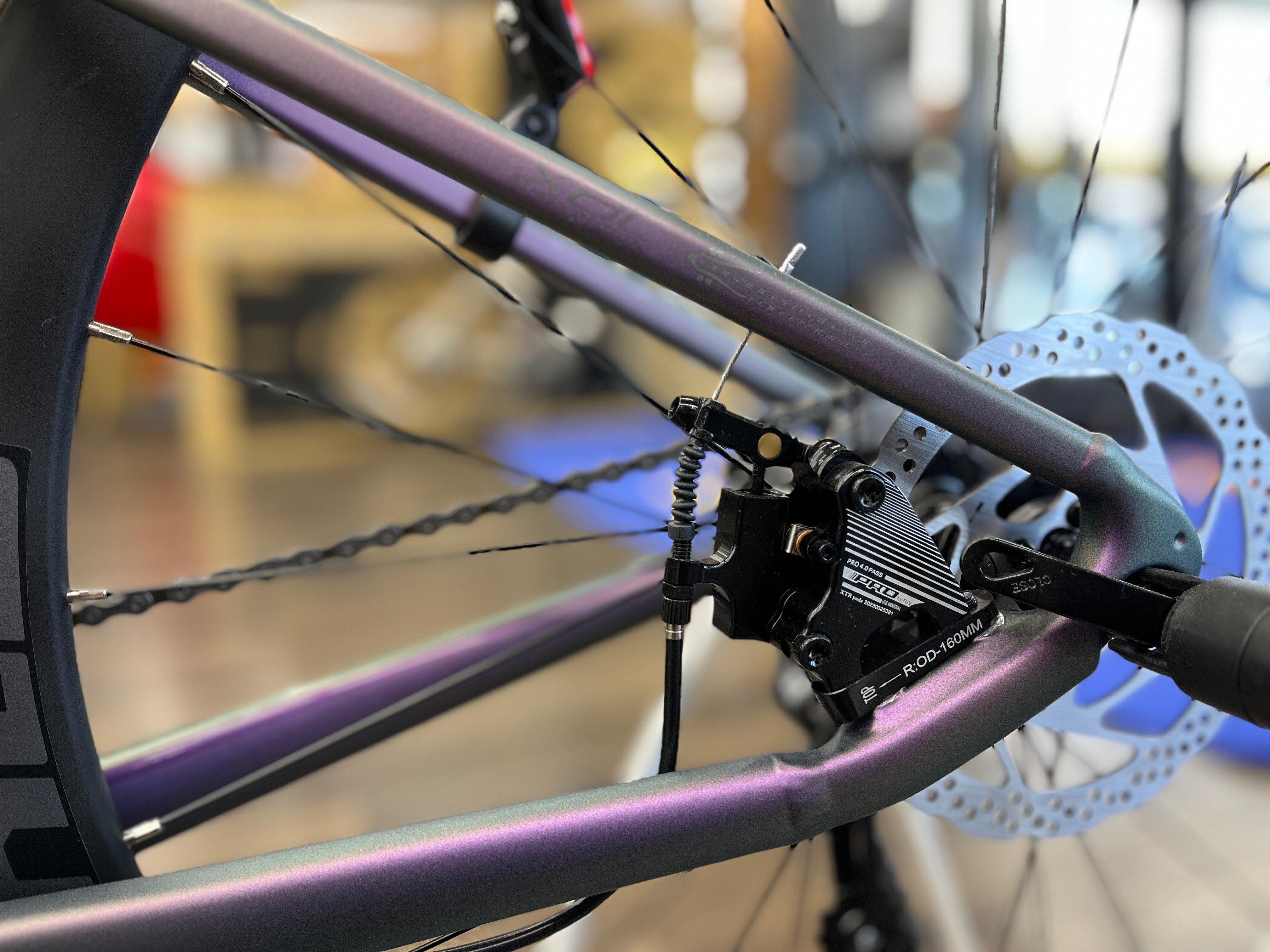 【限定商品】XDS AD300 【アウトレット】【数量限定送料無料】