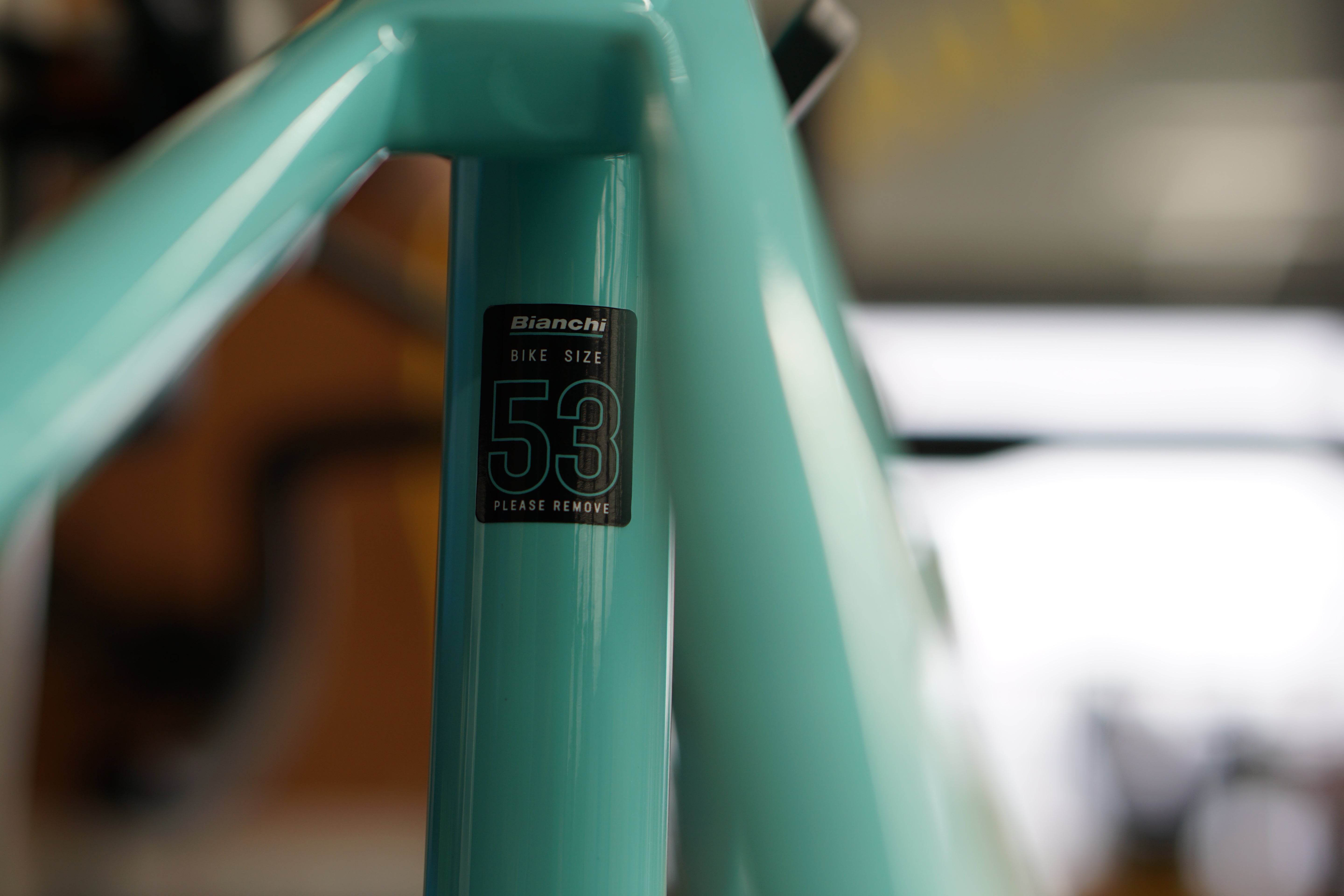 BIANCHI SPECIALISSIMA DISC 530mm フレームセット 2023